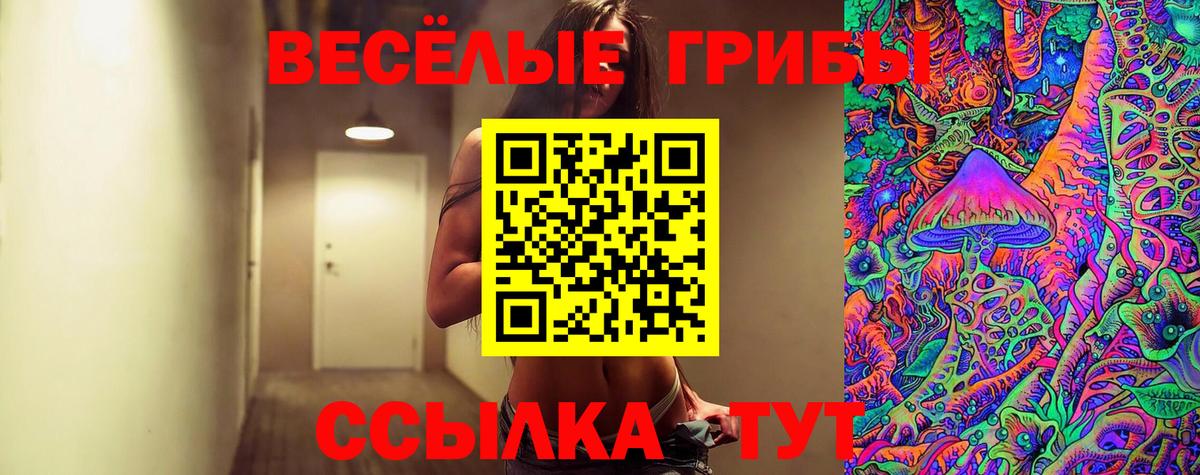 Галлюциногенные грибы Psilocybine cubensis Владивосток
