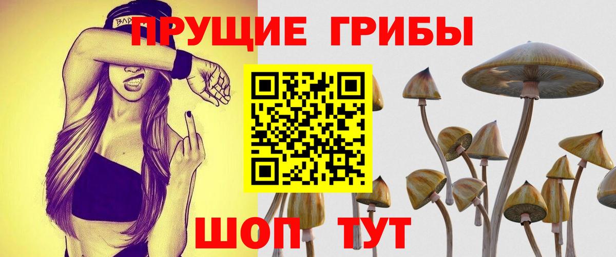Владивосток  Псилоцибиновые грибы ЛСД  Вход с VPN 